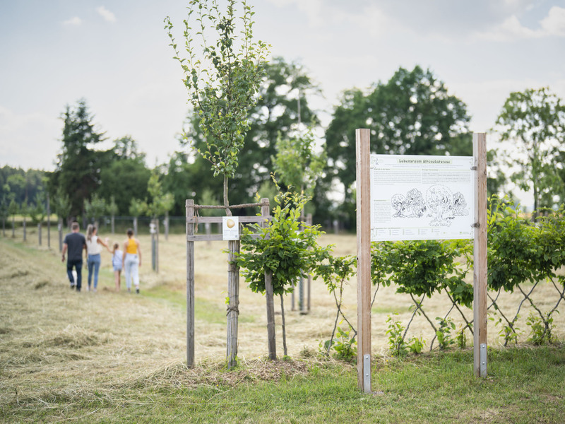 Botanischer Obstlehrgarten Donau-Ries in Wemding